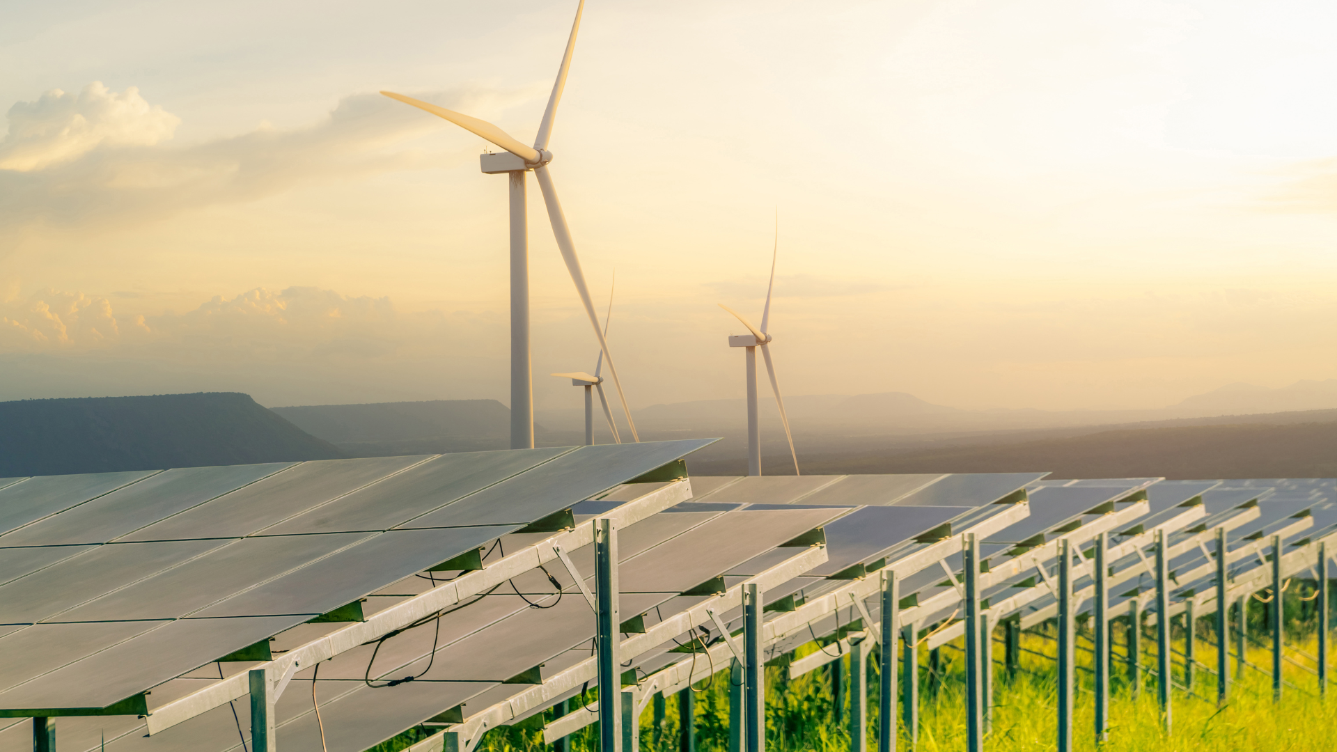 Bureau Veritas announces the opening of our new Sustainability Hub in ...