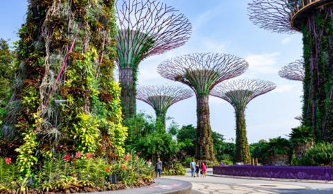 Singapore