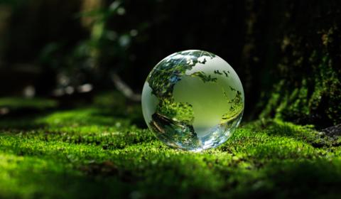Sustainable Finance