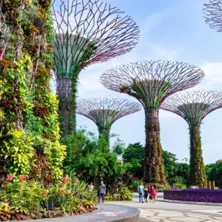 Singapore
