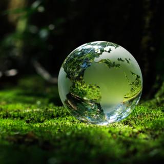 Sustainable Finance