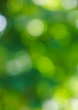 Green blurred background