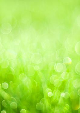shutterstock_113476804