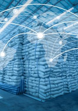 Global network coverage world for Distribution of goods in warehouse process for Logistic Import