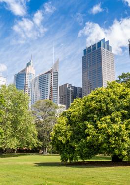 Buildings and trees