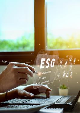 Sustainability Consultancy
