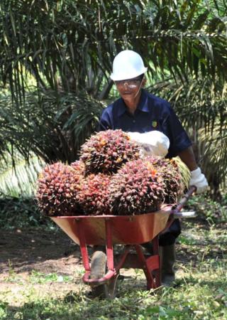 Agro